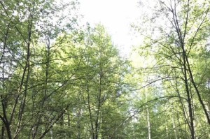 遇见（在一条风景优美的路上）