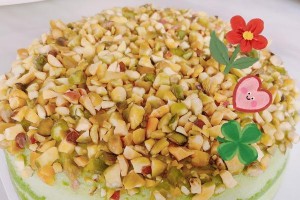 体验春天，品味生活（用心感受自然之美）