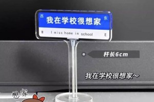 我爱我的学校（那些年，我们一起走过的校园时光）