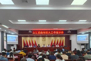 森林之路