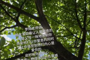 文字绽放，故事如诗（一个女孩的文字之旅）