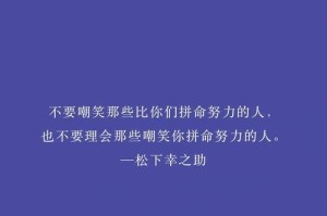 从努力到成就——一个成功者的故事（汗水和坚持铸就辉煌）