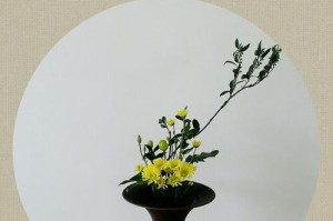 岁月静好，成长之路（一个女孩的故事）