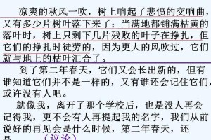 梦中的浪漫（一场年少时的片段抒情）