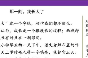 一次意外的经历成就了我的成长（一次意外的经历成就了我的成长）