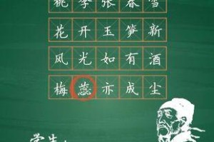 一位难以忘怀的老师（我和我的音乐老师）