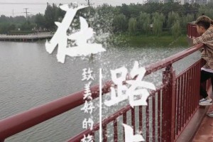 勇往直前，迎难而上（不屈不挠的精神）