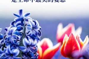 奋斗，点亮梦想的火炬（一名踌躇满志的年轻人的成长之路）