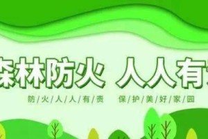 保护森林，守护地球（从小事做起，每个人都能做出贡献）