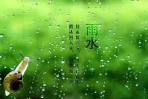 春雨润如酥（听春雨轻轻润湿大地的故事）