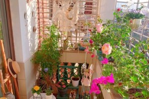 花园里的秘密（探寻花园深处的故事）