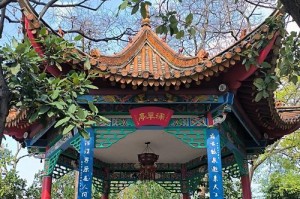 春日里的趣事——漫步于充满乐趣的景点