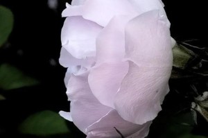 那永恒的瞬间（一个人物的记忆）