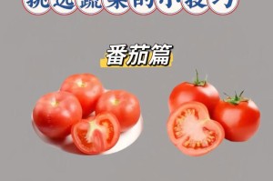 解决难题的神奇钥匙（如何用小窍门轻松解决生活和工作中的难题）