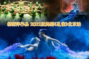 美丽的姿态（一个女孩对生活的态度）
