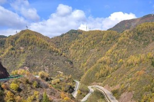 我爱秋天的家乡：一个温暖而美丽的地方