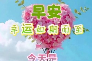 珍贵的祝福（李云飞的新年计划）