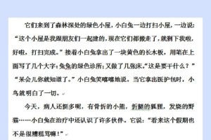 勇敢的公主与爱的魔法（一场惊险的冒险之旅）