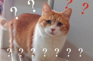 重拾内心的平静（以痛苦换回人生的意义）