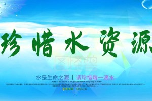 一片荒滩的奇迹（珍惜资源，我们的行动）