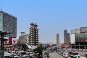 文明的花园（一次偶然的相遇）