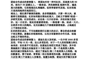 从失败到成功的奋斗之路（一个人的坚持与拼搏）