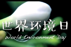 小草的呼声（有关环保的小故事）