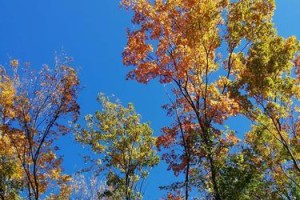唤醒心灵的秋色美景（一个人的秋季之旅）