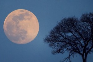 故乡皎洁月亮的故事（月亮，见证我们成长的伙伴）