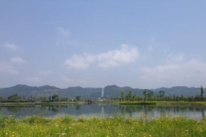 《同行》（一个旅途中的友情故事）