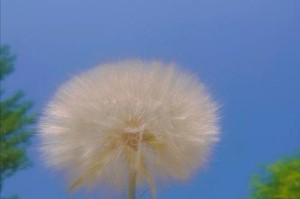 清欢一刻（一个普通人的命运转折）