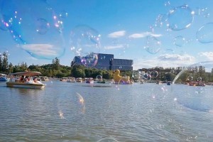 童年五彩泡泡：一个充满欢笑与回忆的故事