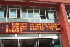 青春无悔，劳动不留白（一个小镇上的志愿者）
