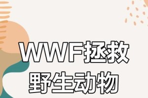 一个小学生的环保行动（一个小学生的环保行动）