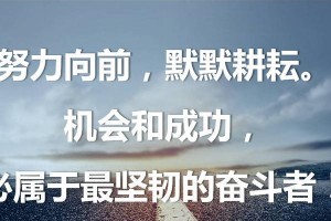 一生收获（不断学习成长，创造美好未来）