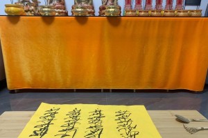 遇见她，成就了我（一名学生的成长历程）