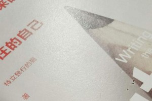 迷失的青春（一个少年的自我救赎）