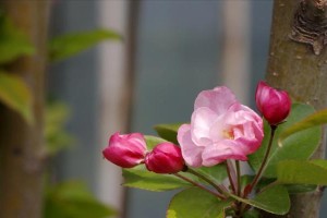 大爱无声（一位老人的善举）