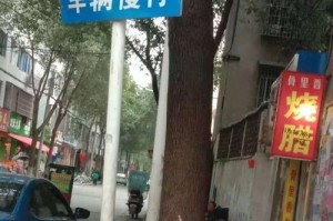 一个不一样的境界（一个不一样的境界）