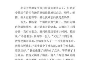 暑假的冒险故事（探险、刺激、惊险，这个暑假是我最难忘的一个假期）