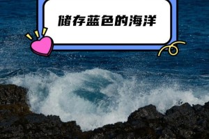 文化海洋之旅：发现海中宝藏