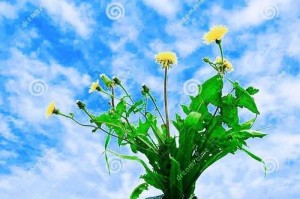 因坚持而精彩的故事（梦想的奋斗路上，勇敢前行的力量）