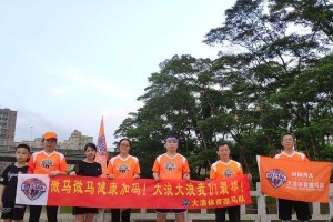 坚持不懈，成就辉煌（青春的奋斗故事）
