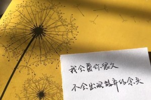 抉择（当放弃成为唯一的选择，你会怎么做？）