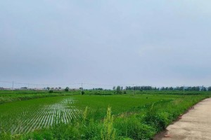 美在眼前：青年摄影师的成长历程