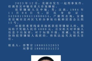 线索之谜（年轻侦探杨晓峰的故事）