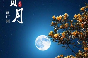 寻找惬意的人生（从平凡的生活中寻觅幸福）