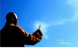 生命的精华（关于爱、希望和勇气的故事）