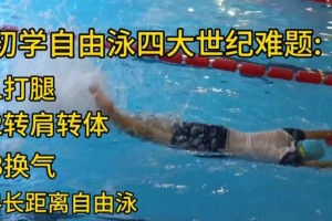掌握泳姿的那一刻（从小白到高手）