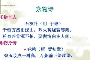 寒冬里的春天（瑞雪兆丰年）
